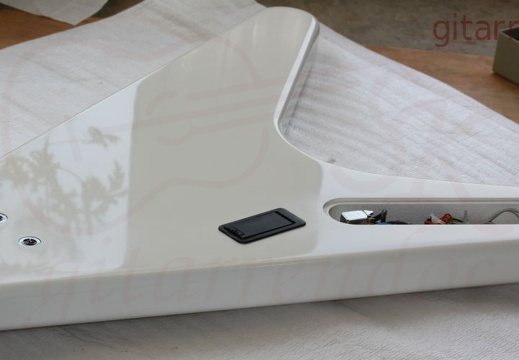 1024 gitarrendoc bild8009