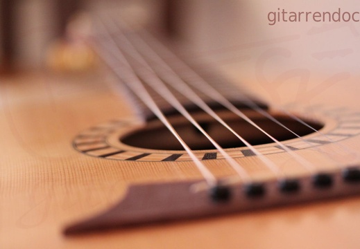 1024 gitarrendoc bild8017