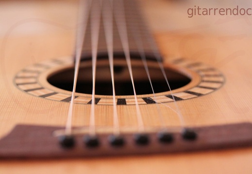 1024 gitarrendoc bild8016