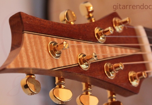 1024 gitarrendoc bild8018