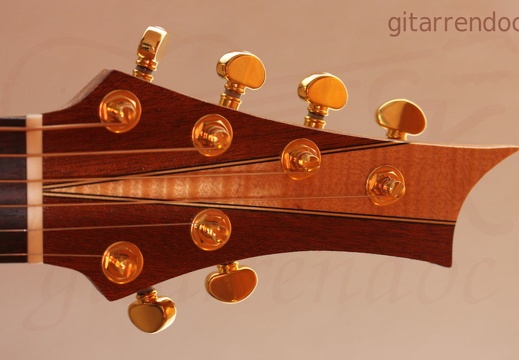 1024 gitarrendoc bild8021