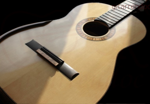 1024 gitarrendoc bild8020