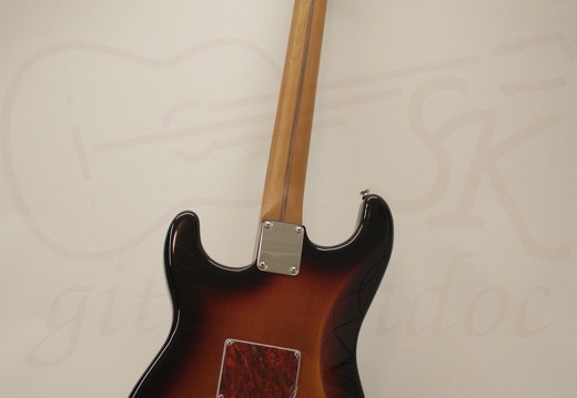 Uwe PartsCaster 28