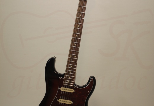 Uwe PartsCaster 29