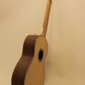 gitarrendoc Jaden 22220