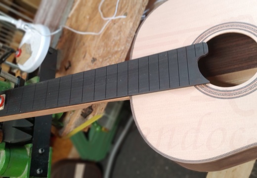 gitarrendoc Jaden 22229