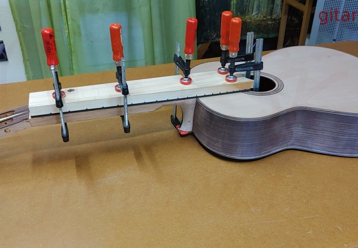 gitarrendoc Jaden 22237