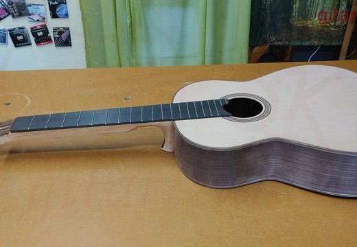 gitarrendoc Jaden 22238