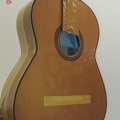 gitarrendoc Jaden 22256