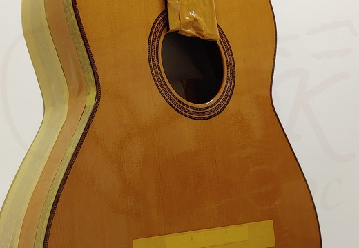 gitarrendoc Jaden 22257