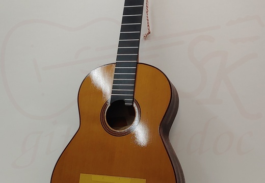 gitarrendoc Jaden 22258