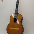 gitarrendoc Jaden 22258