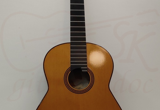 gitarrendoc Jaden 22259
