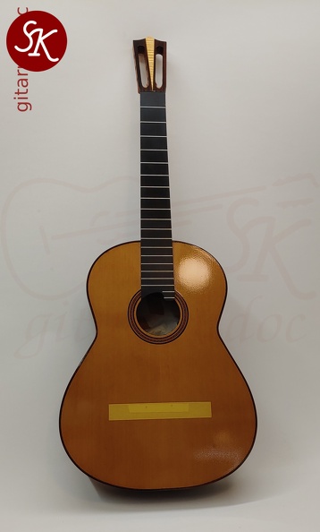 gitarrendoc Jaden 22259