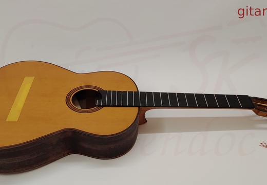 gitarrendoc Jaden 22261