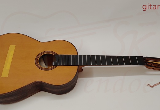 gitarrendoc Jaden 22262