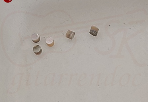 gitarrendoc Jaden 22270