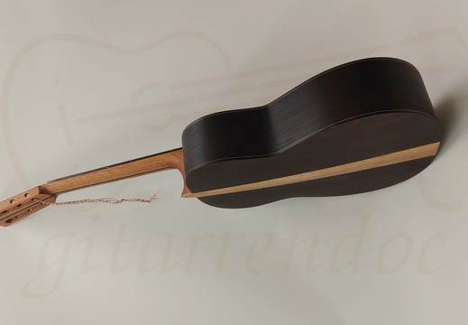 gitarrendoc Jaden 22274