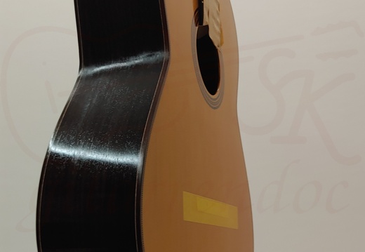 gitarrendoc Jaden 22275