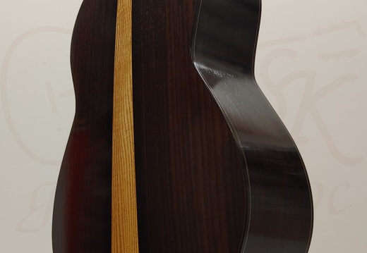 gitarrendoc Jaden 22276