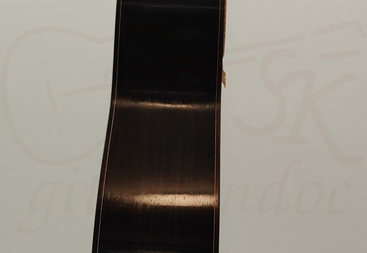 gitarrendoc Jaden 22277