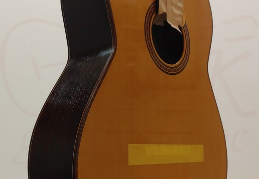 gitarrendoc Jaden 22278