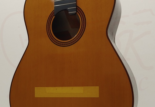gitarrendoc Jaden 22279