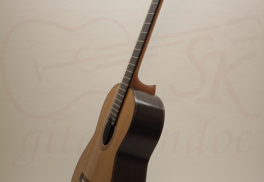 gitarrendoc Jaden 22282
