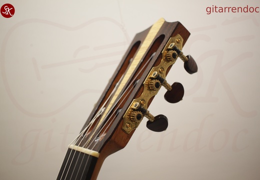 gitarrendoc Jaden 22283