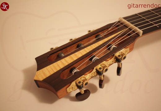 gitarrendoc Jaden 22286