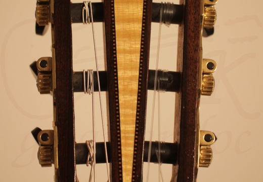gitarrendoc Jaden 22287