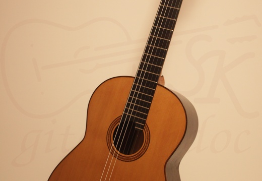 gitarrendoc Jaden 22288