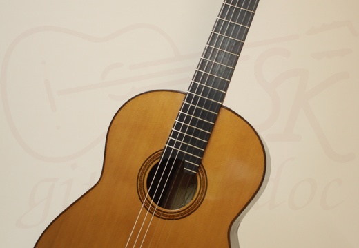 gitarrendoc Jaden 22289