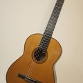 gitarrendoc Jaden 22289