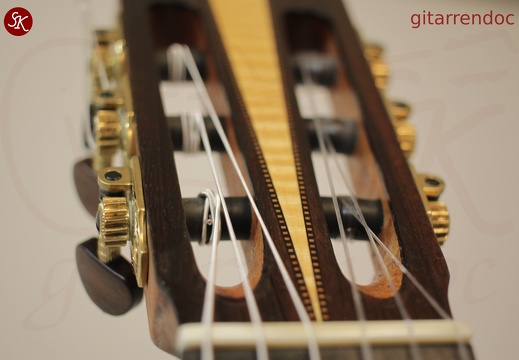gitarrendoc Jaden 22290