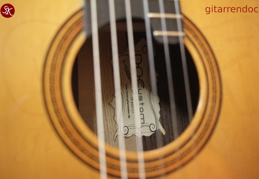 gitarrendoc Jaden 22291