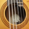 gitarrendoc Jaden 22291