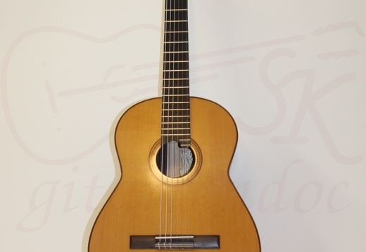 gitarrendoc Jaden 22292