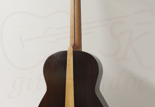 gitarrendoc Jaden 22293