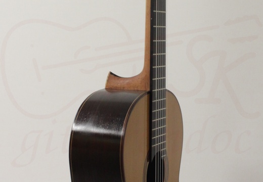 gitarrendoc Jaden 22294