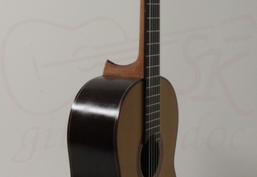 gitarrendoc Jaden 22295