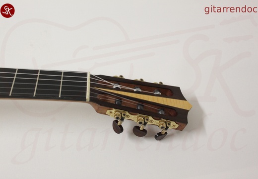 gitarrendoc Jaden 22296