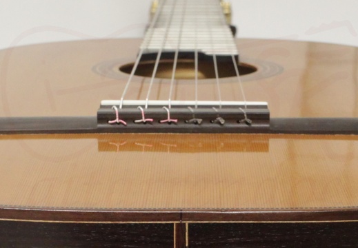 gitarrendoc Jaden 22299