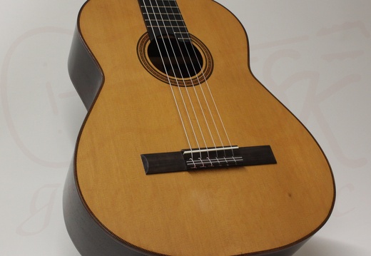 gitarrendoc Jaden 22301